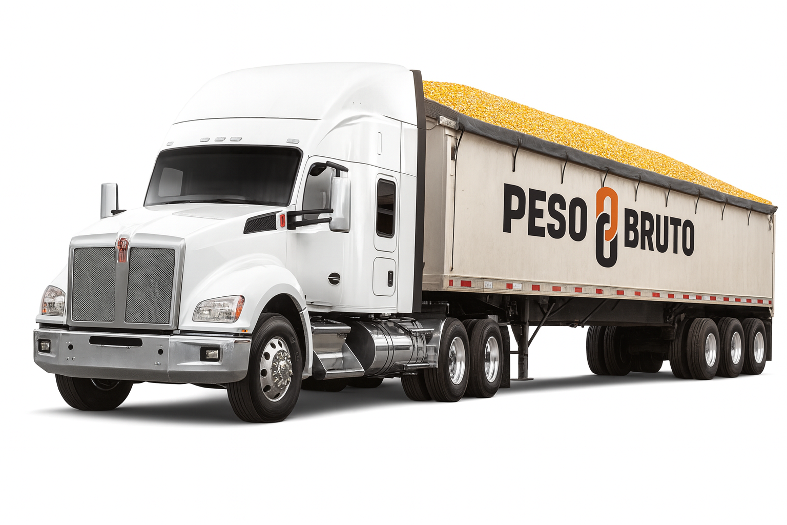 Granos y Materiales a Granel